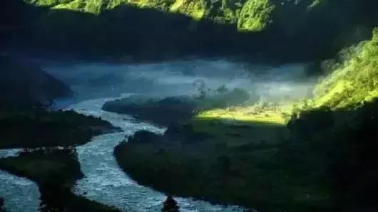 巫师2：刺客之王