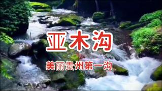 一觉醒来,普京对朝鲜的态度变了,这回特意多加四个字,意味深长