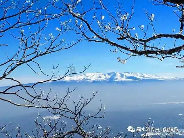 我该相信她吗？游戏画面