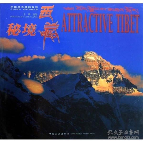 营救小乌龟