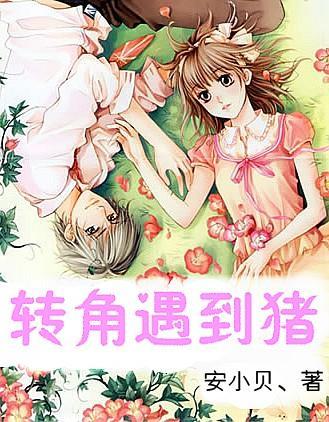 战国无双4-2