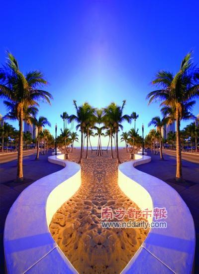 《一个女人一生中的24小时》《恋爱的犀牛》《两只狗的生活意见》《无政府》；电影提名、电影节开幕；艺术展