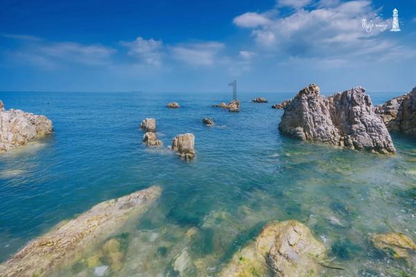 瑞德的冒险之旅中文版