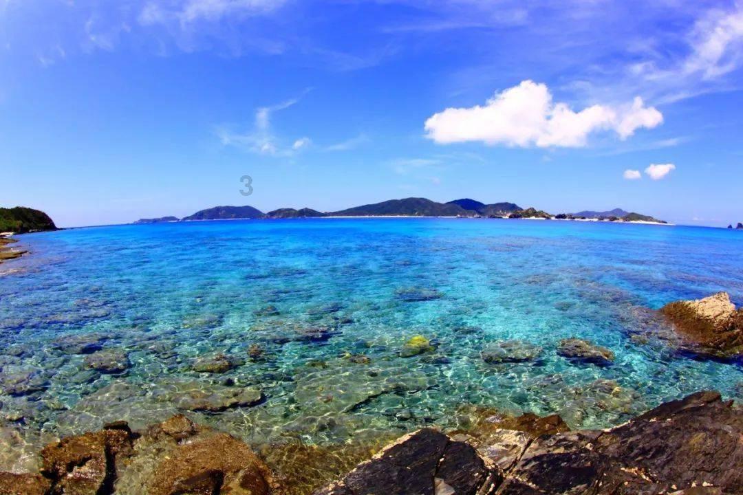 全民烧脑3去广告版