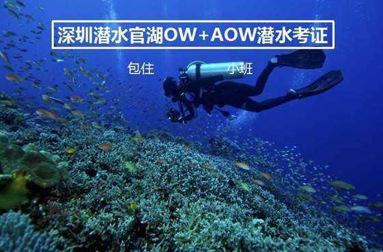 悬案：刹那惊颤