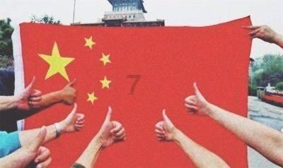漂亮鹦鹉救援