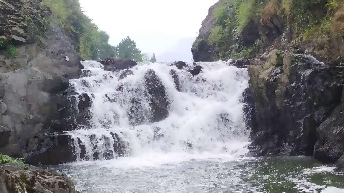 动物帮帮忙保卫家园