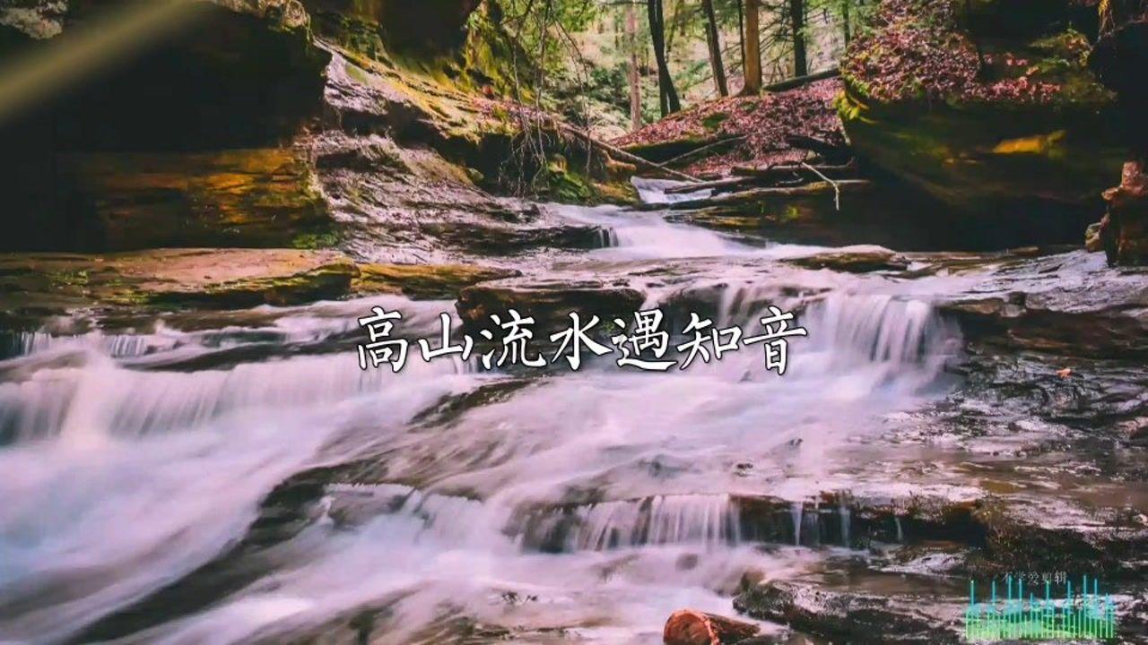 拯救可爱猫王