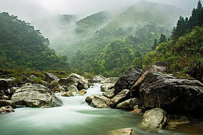 虫虫助手下载