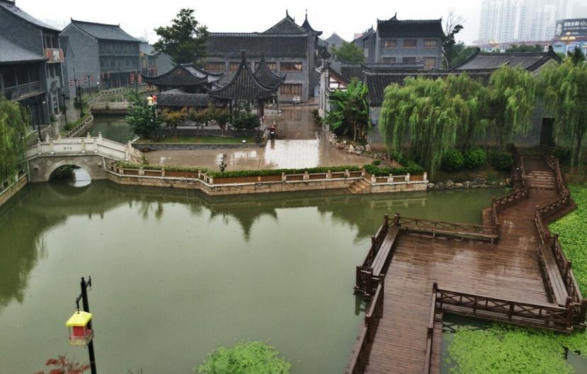 区政府召开2024年第2次常务会议