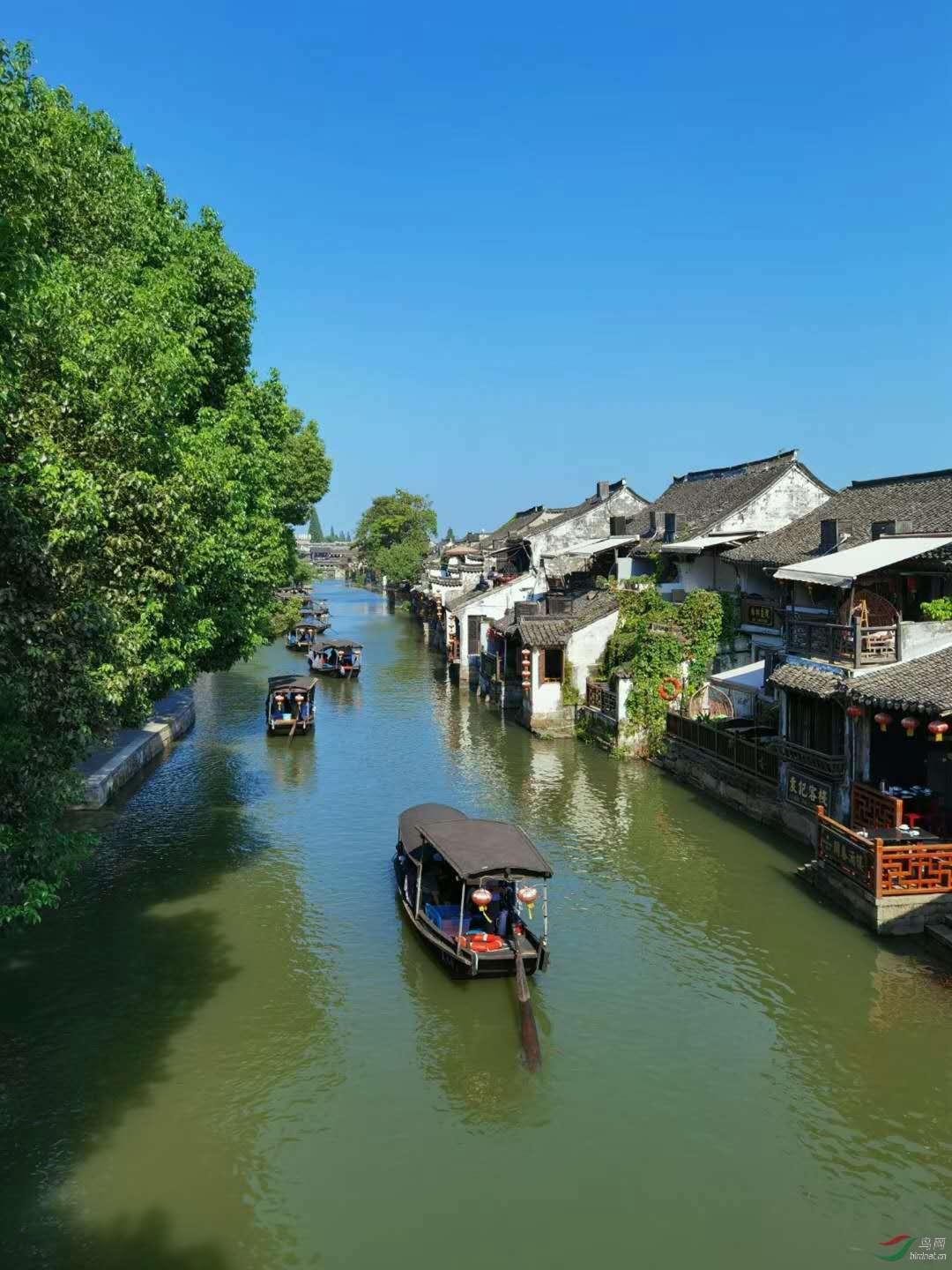 为什么只有中国文明从远古走来，生生不息，流传至今？原因是什么？游戏画面