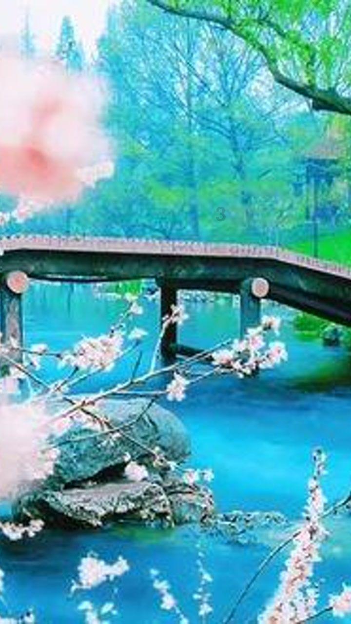 指挥官营救